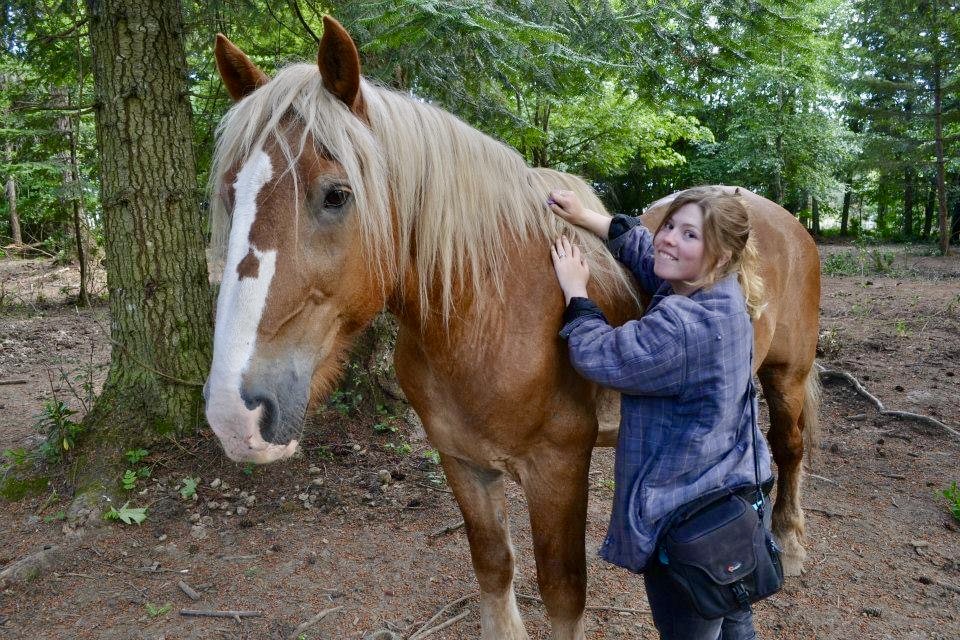 Heaven Sent Equine Bodywork